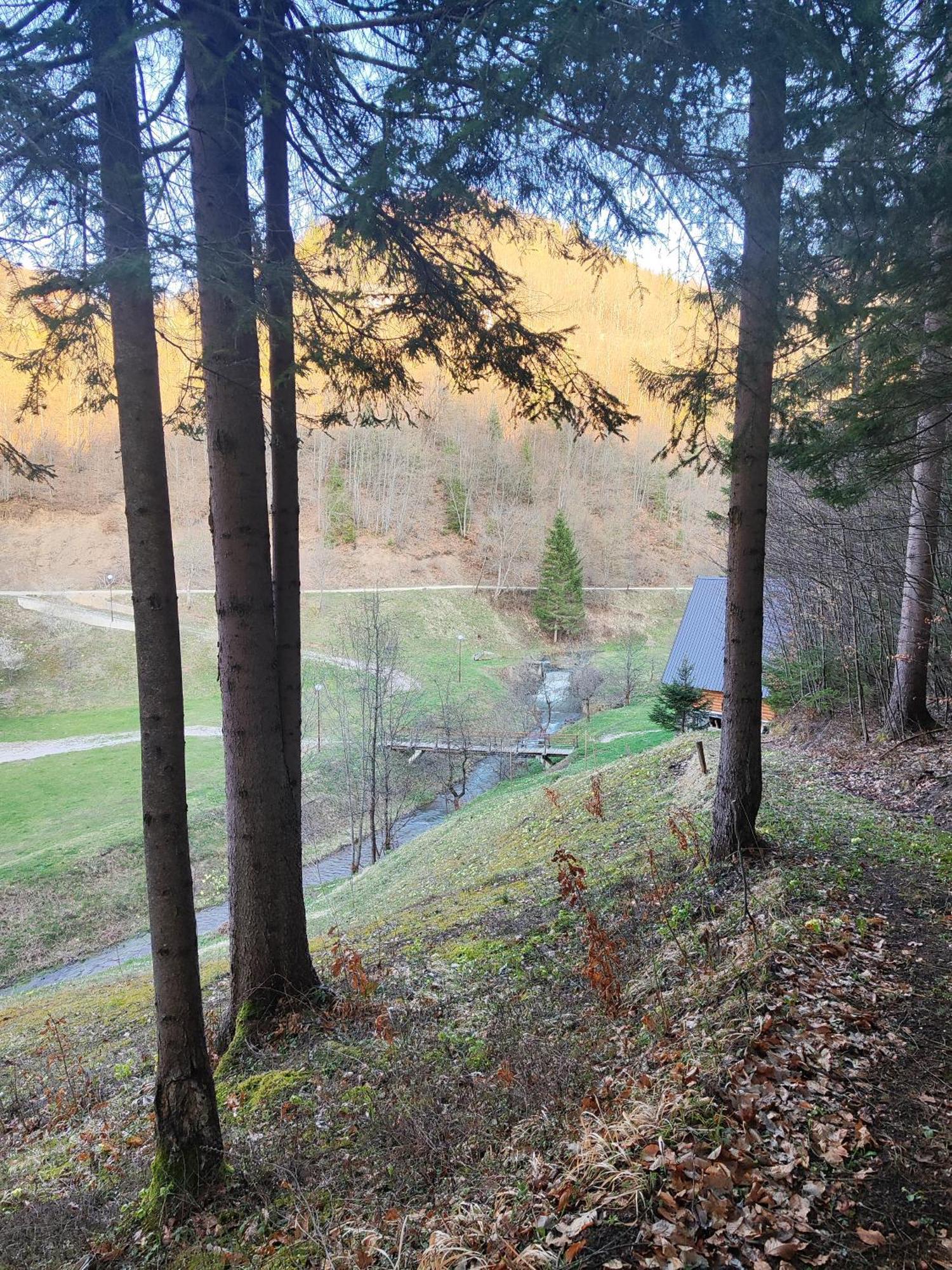 Bed and Breakfast Zlatarska Dolina Нова-Варош Экстерьер фото